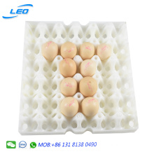 HDPE chicken egg tray USA hot selling chicken egg crate 30 eggs